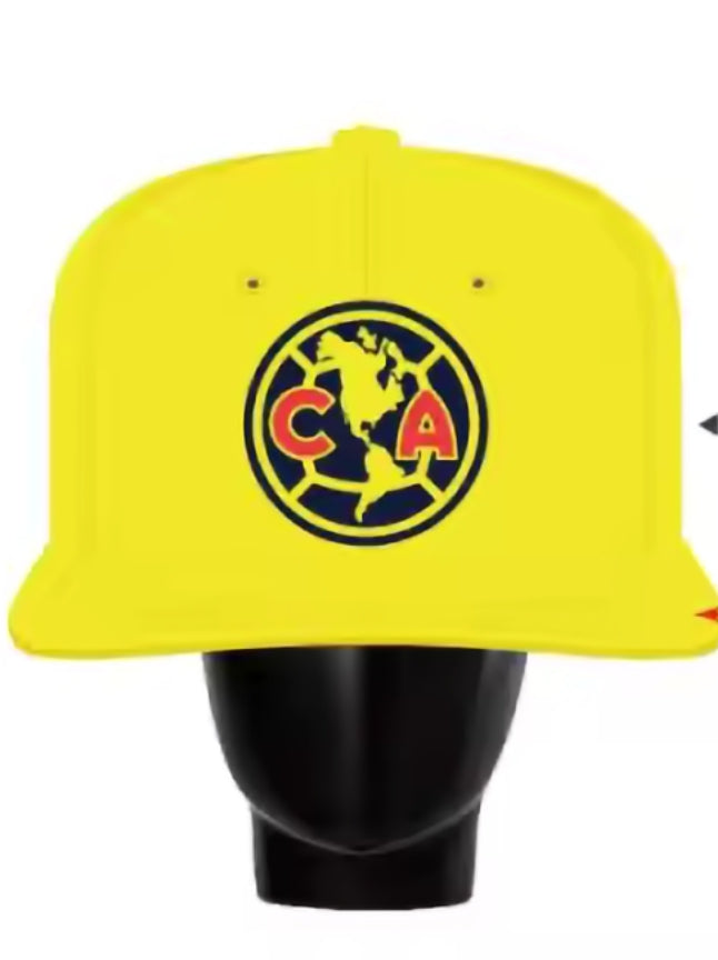 AMERICA It's Our Year! BIG Head Cap!