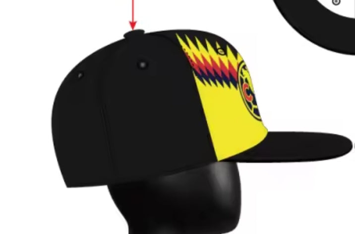 AMERICA It's Our Year! BIG Head Cap!