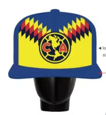AMERICA It's Our Year! BIG Head Cap!