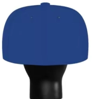 AMERICA It's Our Year! BIG Head Cap!
