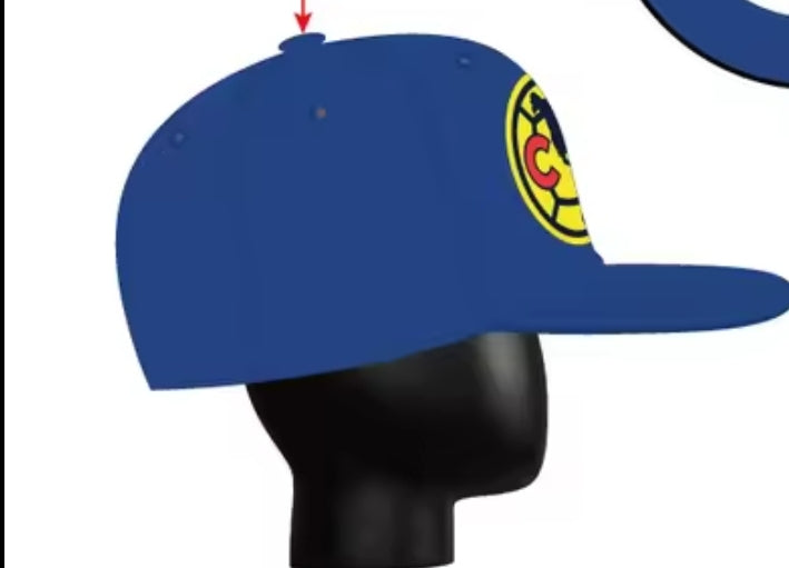 AMERICA It's Our Year! BIG Head Cap!