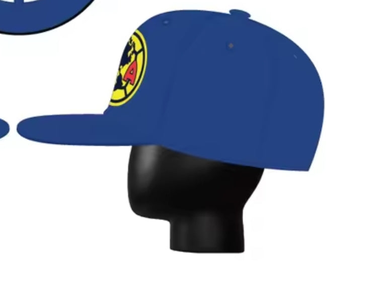 AMERICA It's Our Year! BIG Head Cap!