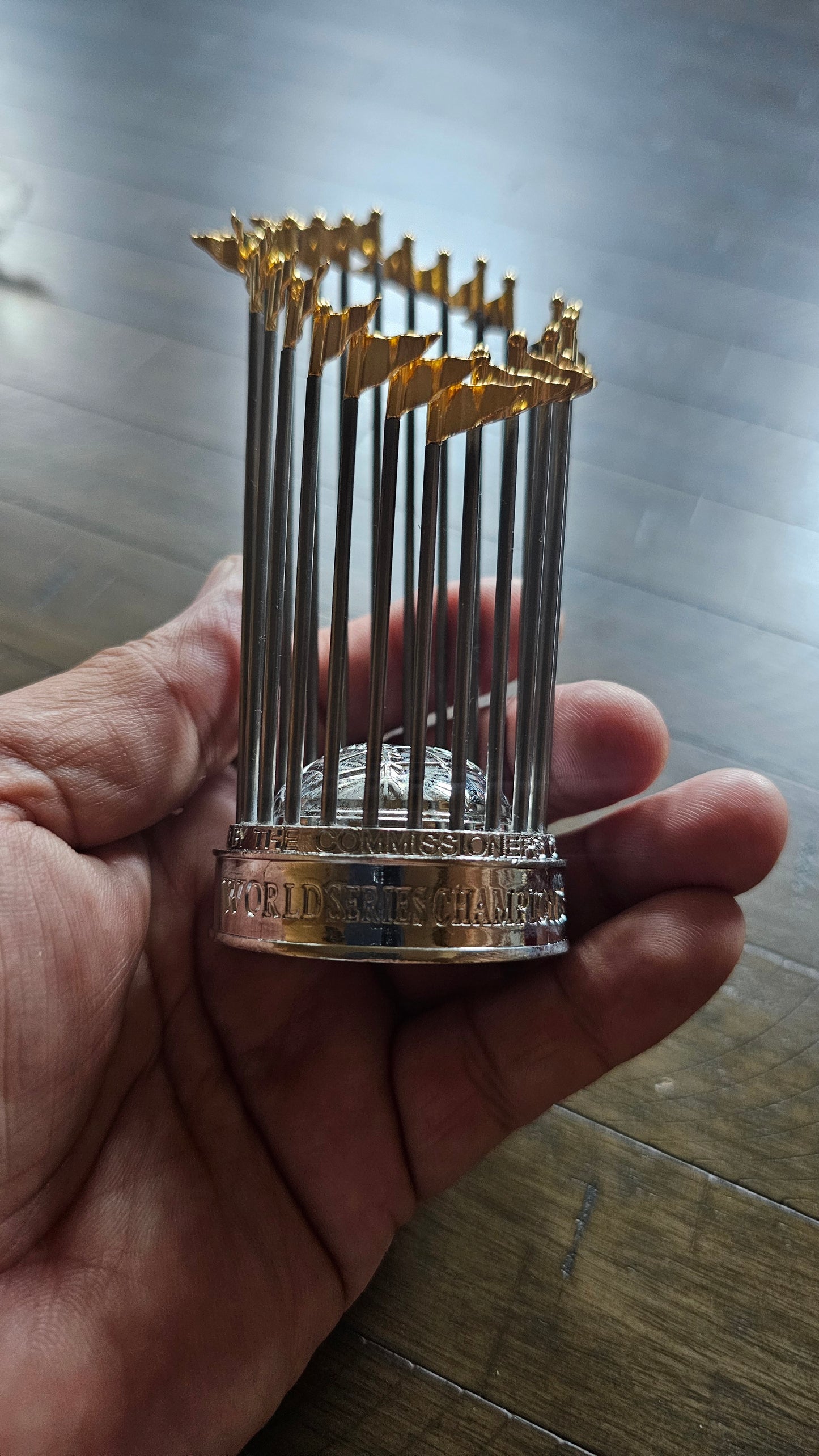 #17 Ohtani WORLD SERIES CHAMPIONS 2024 Ring & Trophy combo size 13