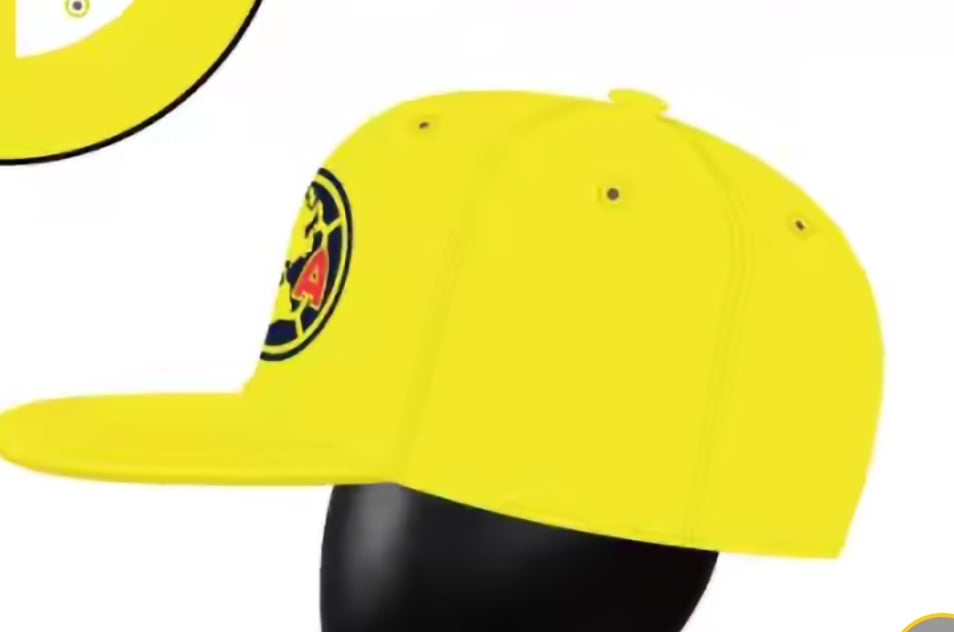 AMERICA It's Our Year! BIG Head Cap!