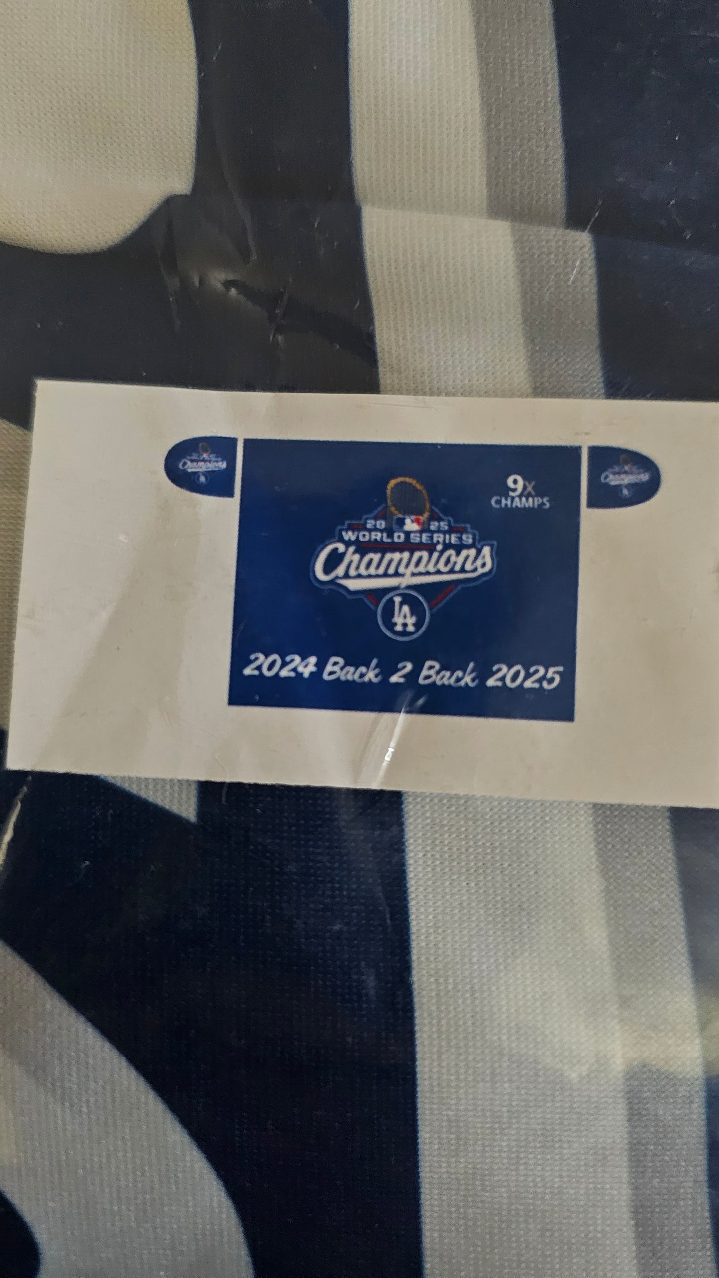 2025 DODGERS World Series Champions HOOD COVERS