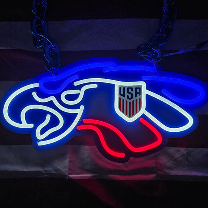 United States National Team led soccer eagle necklace chain